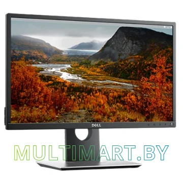 Монитор Dell P2217H